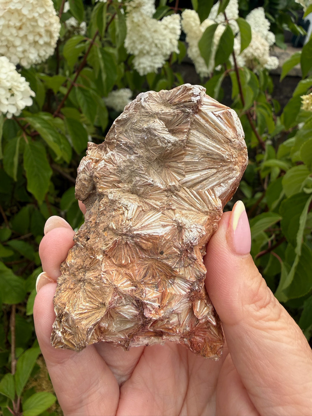 Large Pyrophillyte Specimen from Georgia, USA
