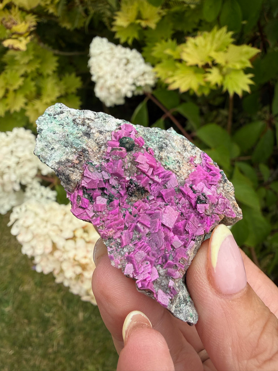 Vibrant Pink Cobaltoan Calcite Specimen from Congo