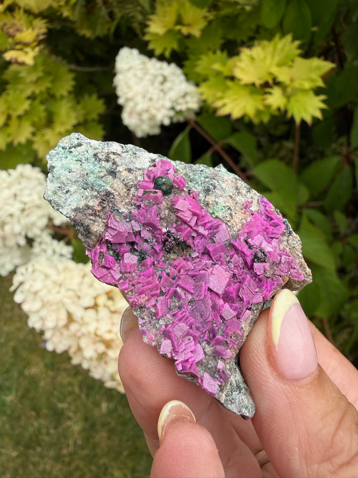 Vibrant Pink Cobaltoan Calcite Specimen from Congo