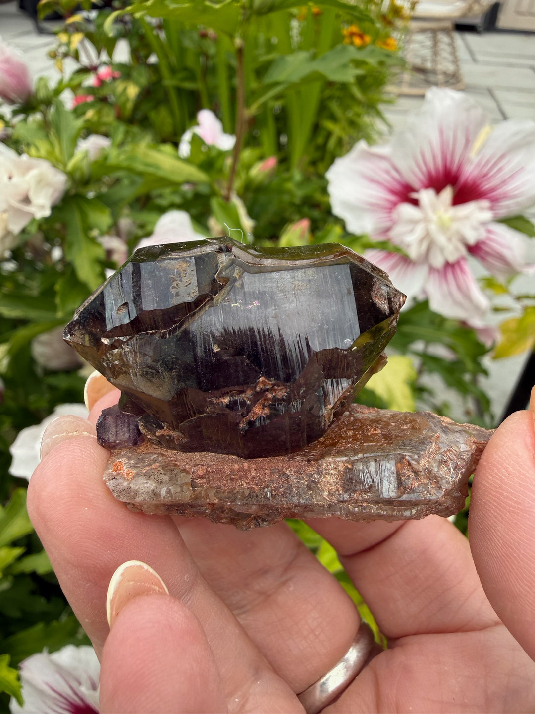 DT Smoky Morion Quartz Specimen from Erongo, Namibia