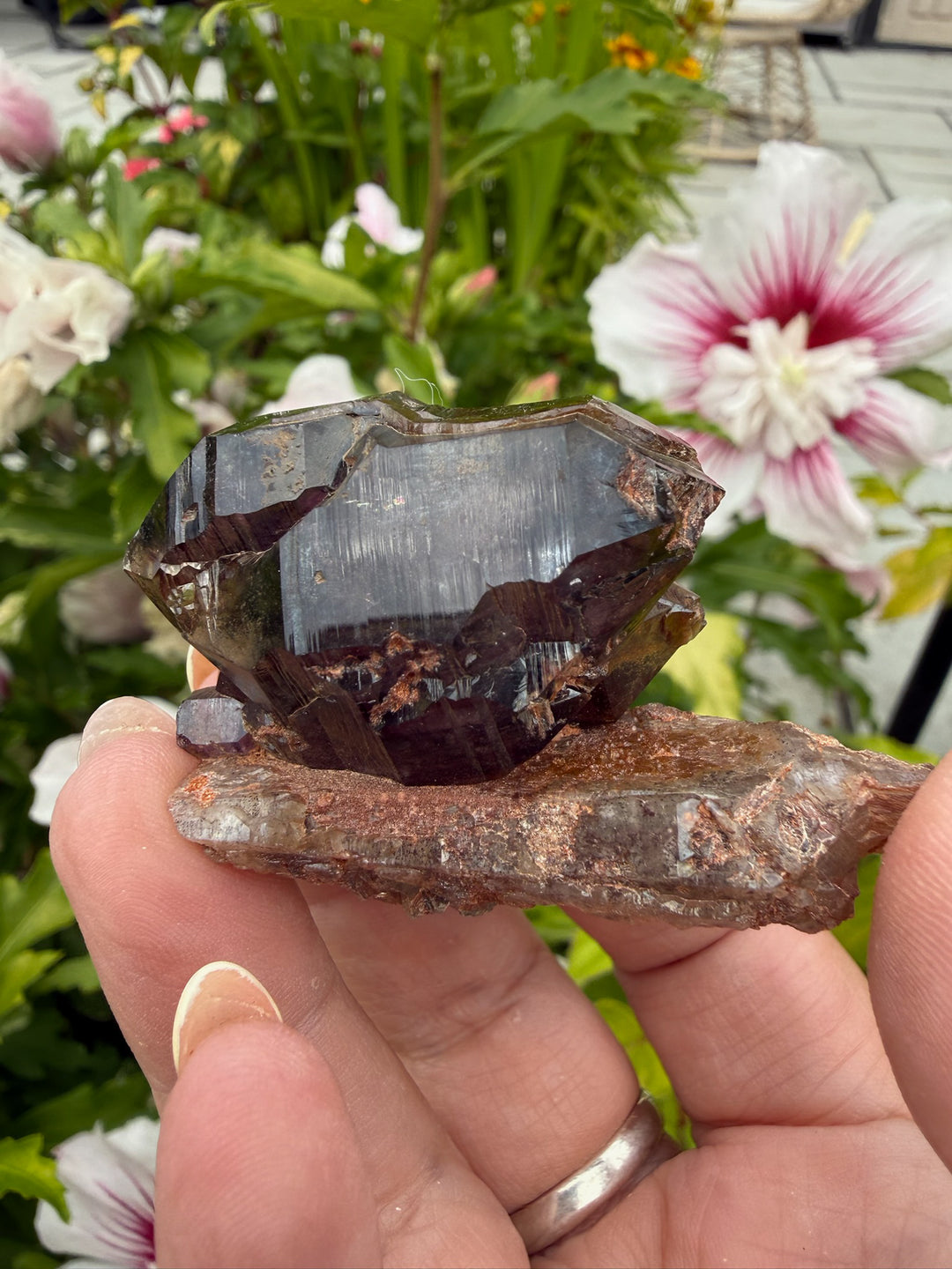 DT Smoky Morion Quartz Specimen from Erongo, Namibia