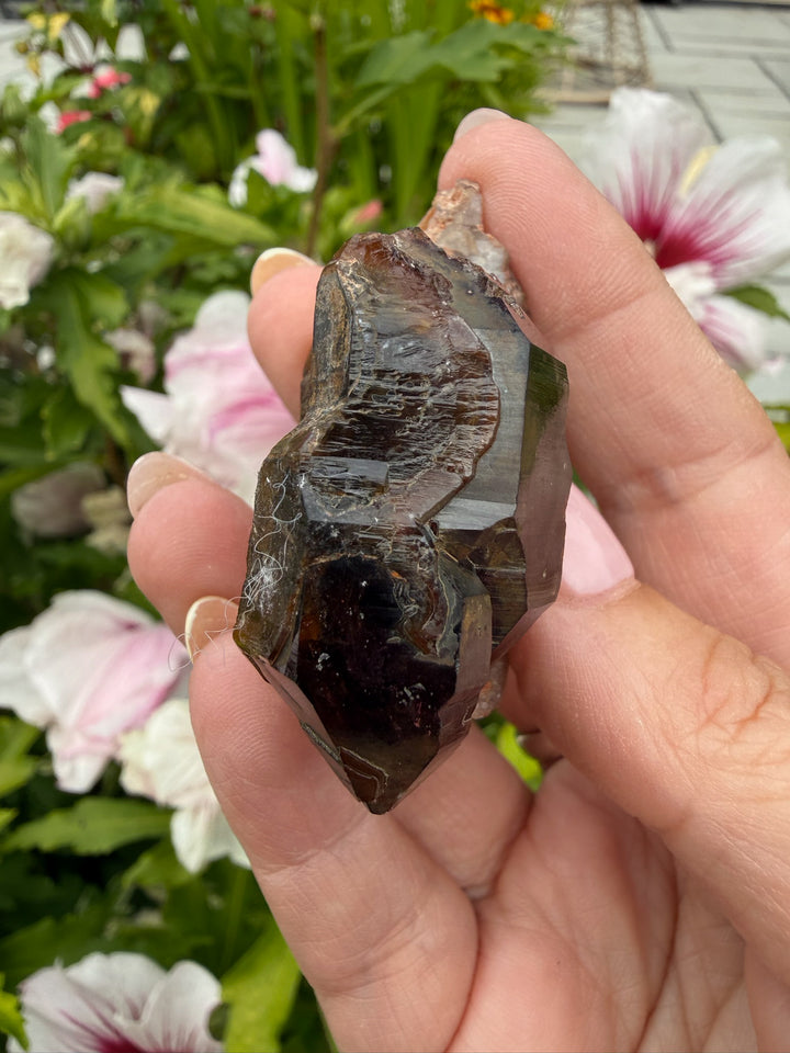 DT Smoky Morion Quartz Specimen from Erongo, Namibia