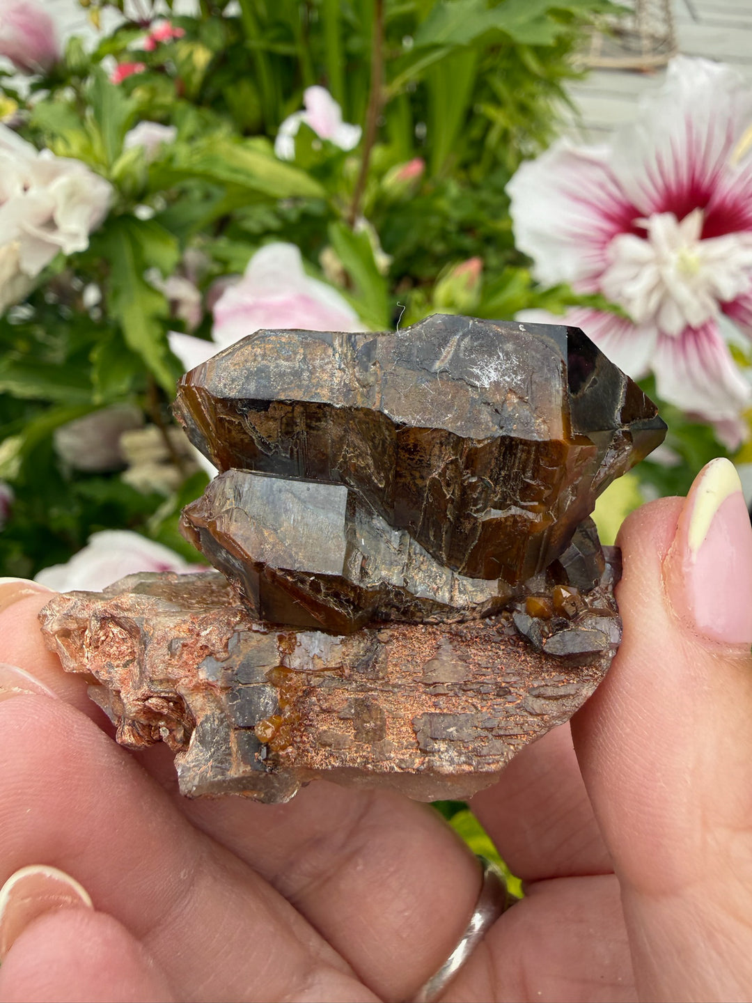 DT Smoky Morion Quartz Specimen from Erongo, Namibia