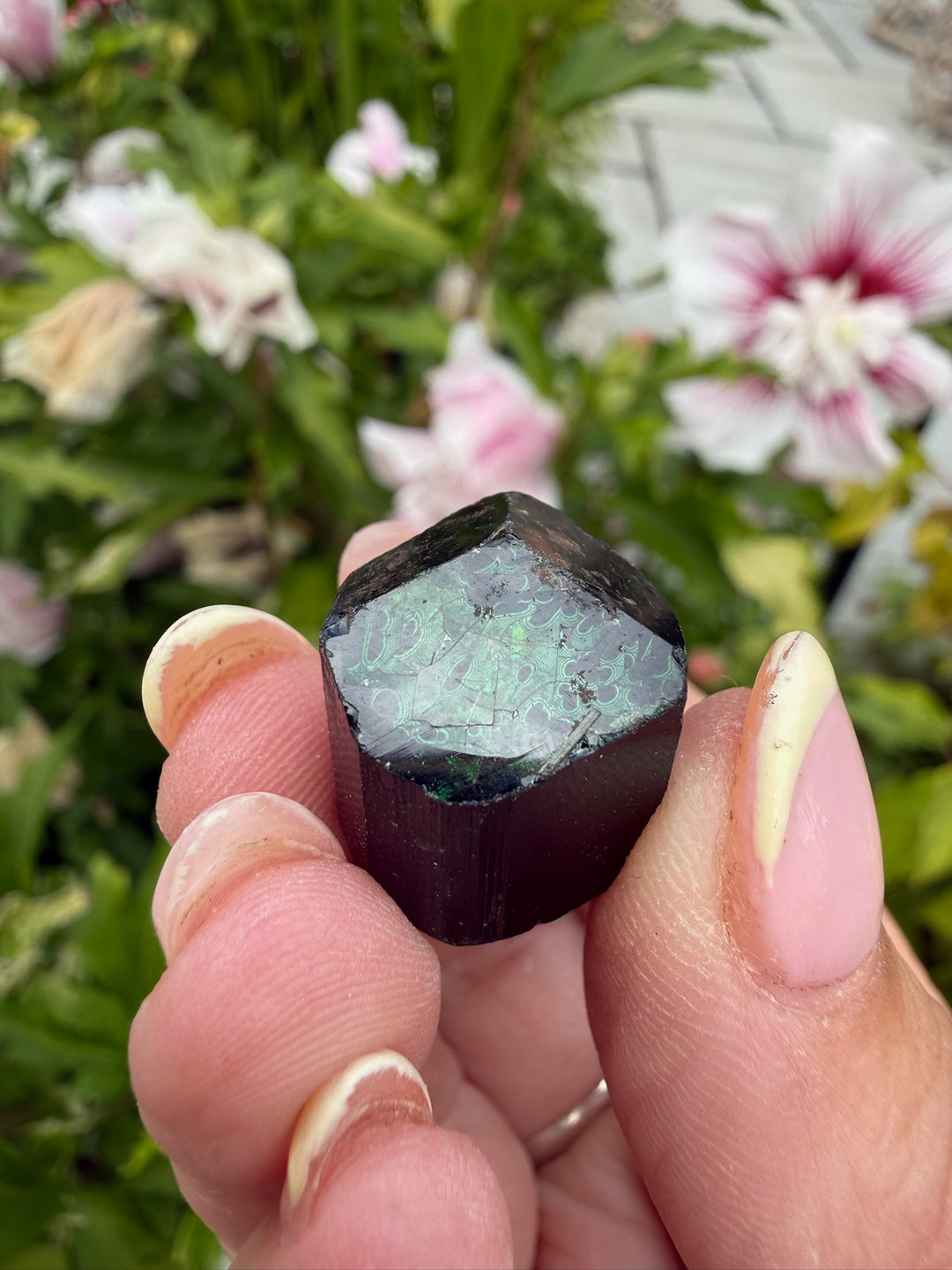 Terminated Chrome Tourmaline from Tanzania
