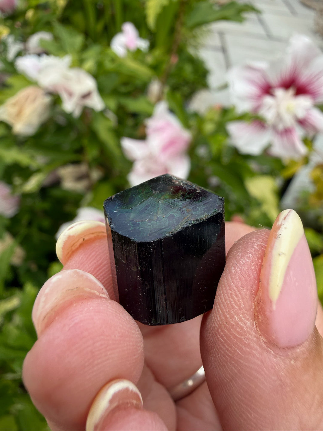 Terminated Chrome Tourmaline from Tanzania
