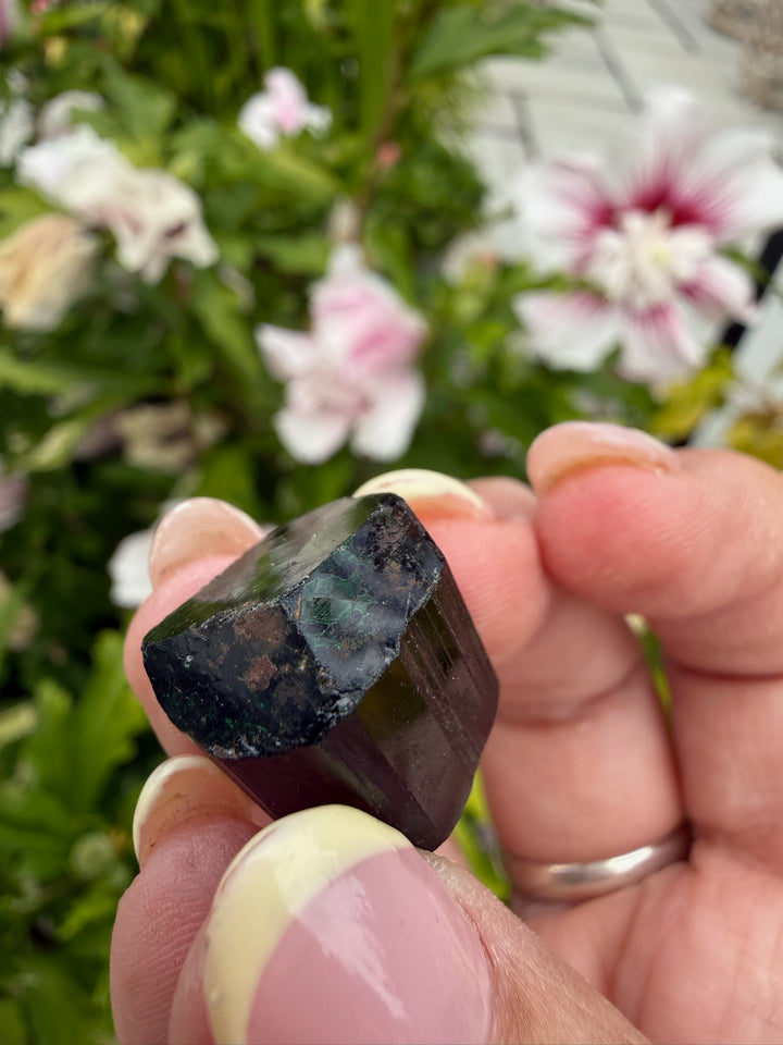 Terminated Chrome Tourmaline from Tanzania