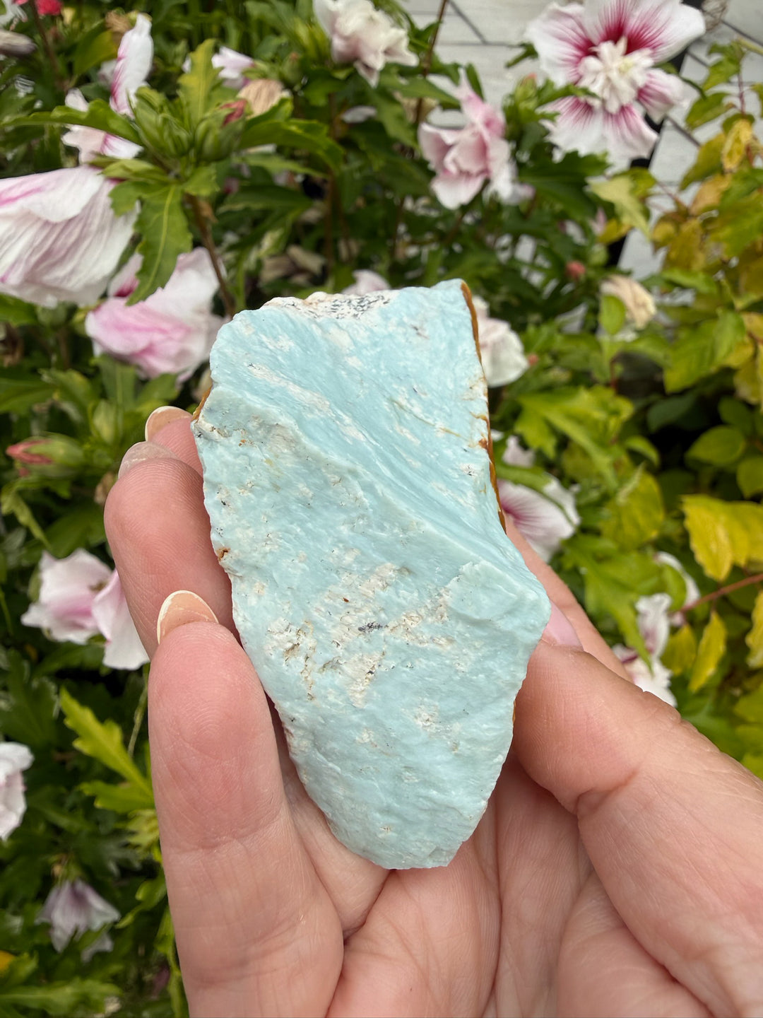 Shiyan Turquoise Specimen from China