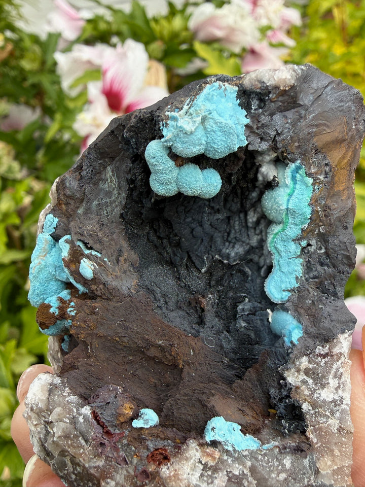 Rare Boitroydral Shattuckite Specimen from Namibia