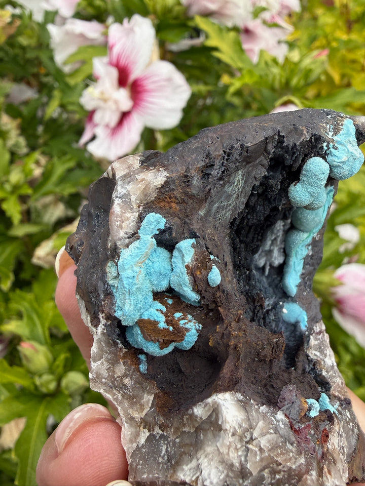 Rare Boitroydral Shattuckite Specimen from Namibia