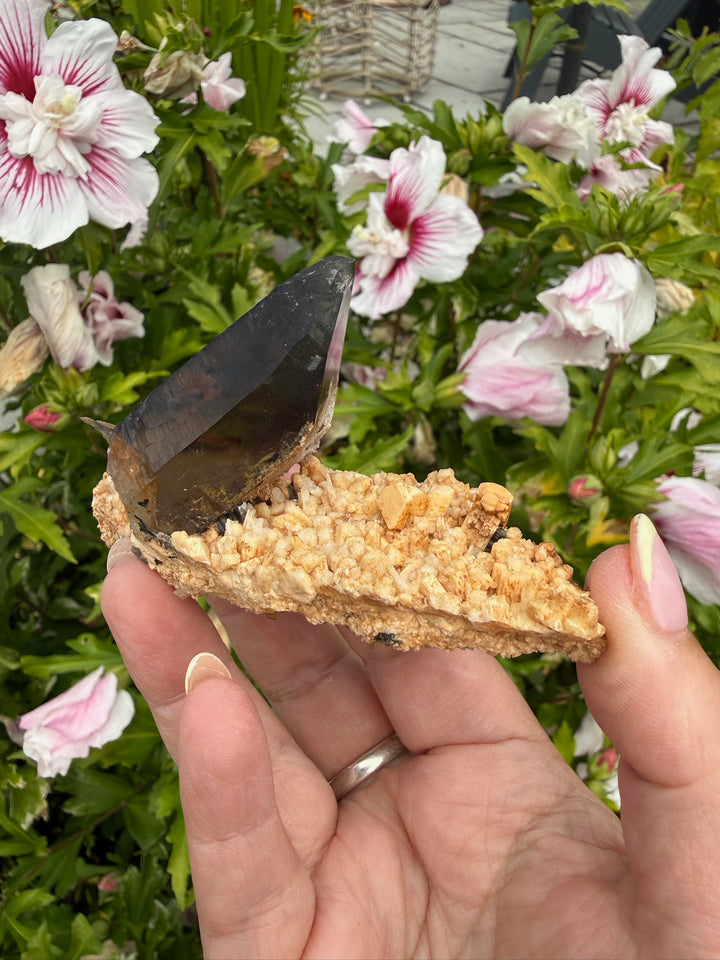 Smoky Quartz Specimen on Feldspar from Namibia