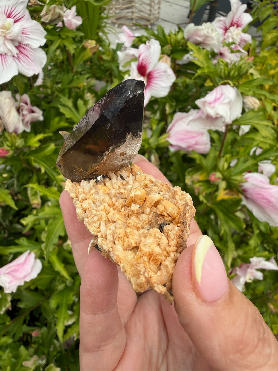 Smoky Quartz Specimen on Feldspar from Namibia