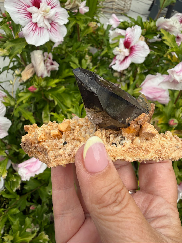 Smoky Quartz Specimen on Feldspar from Namibia