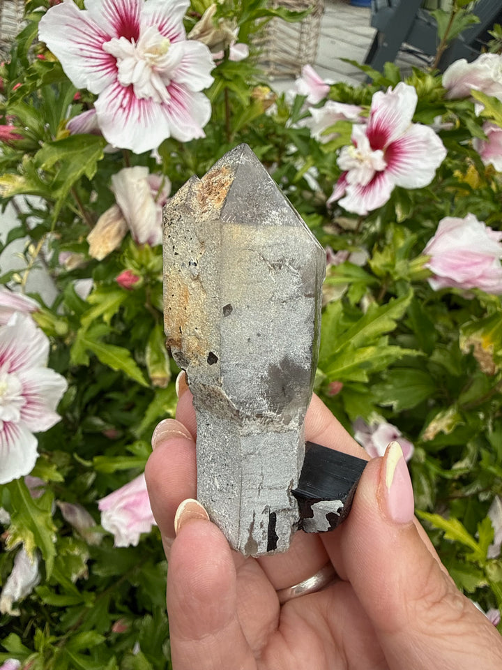 Elestial Quartz Sceptre with Tourmaline Self Healed Specimen from Namibia