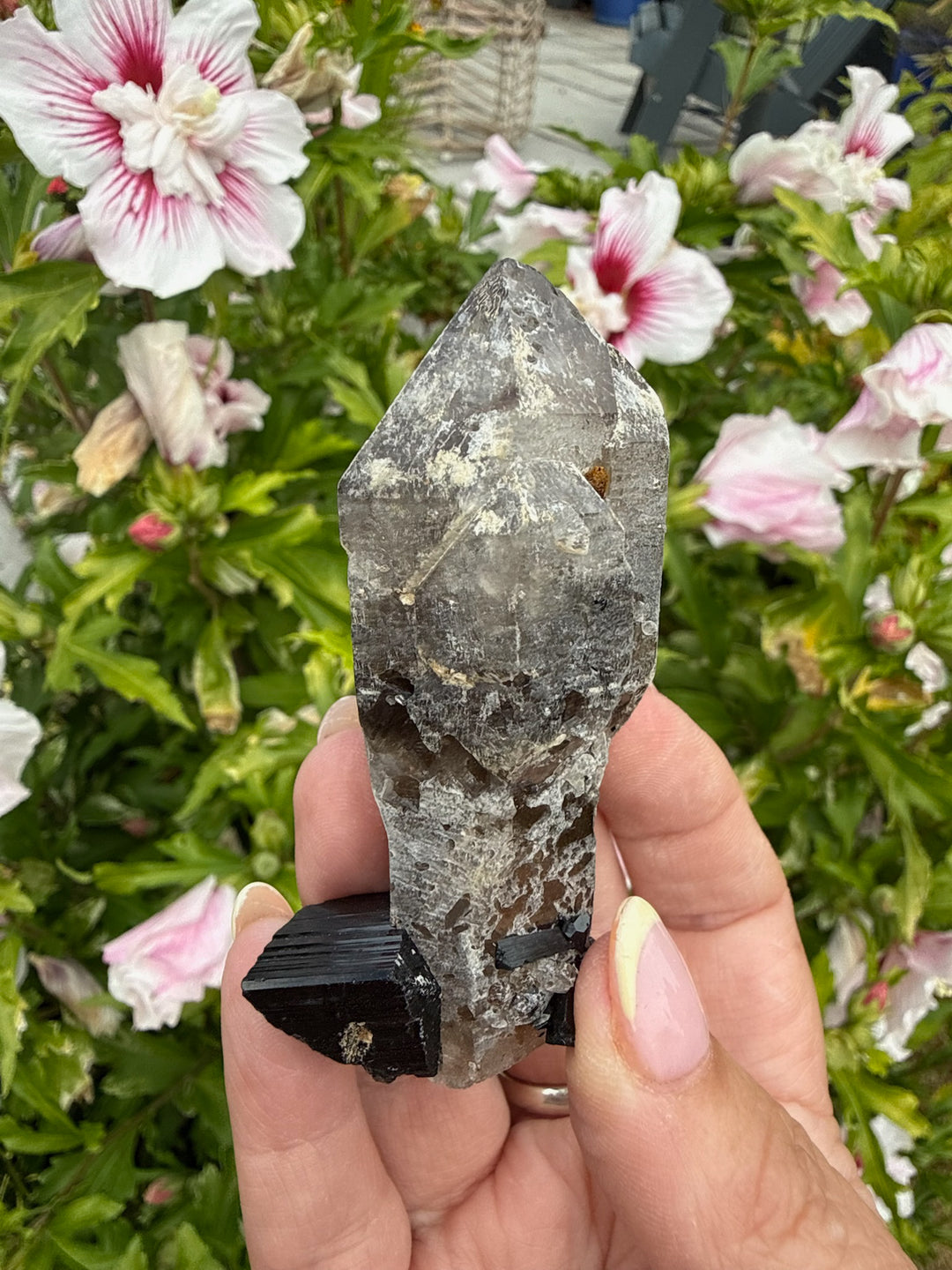Elestial Quartz Sceptre with Tourmaline Self Healed Specimen from Namibia