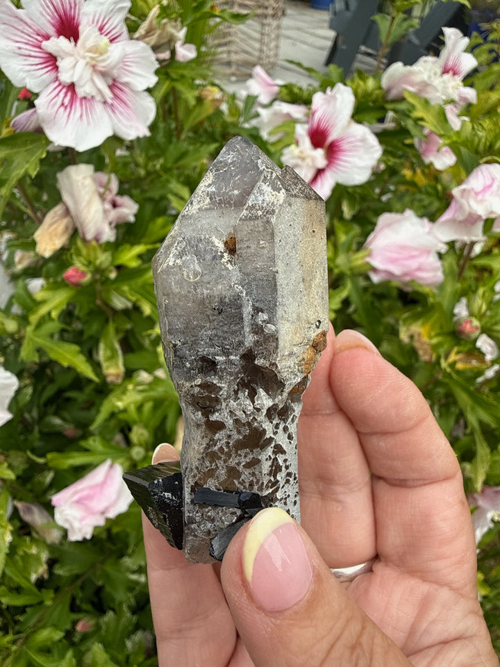 Elestial Quartz Sceptre with Tourmaline Self Healed Specimen from Namibia