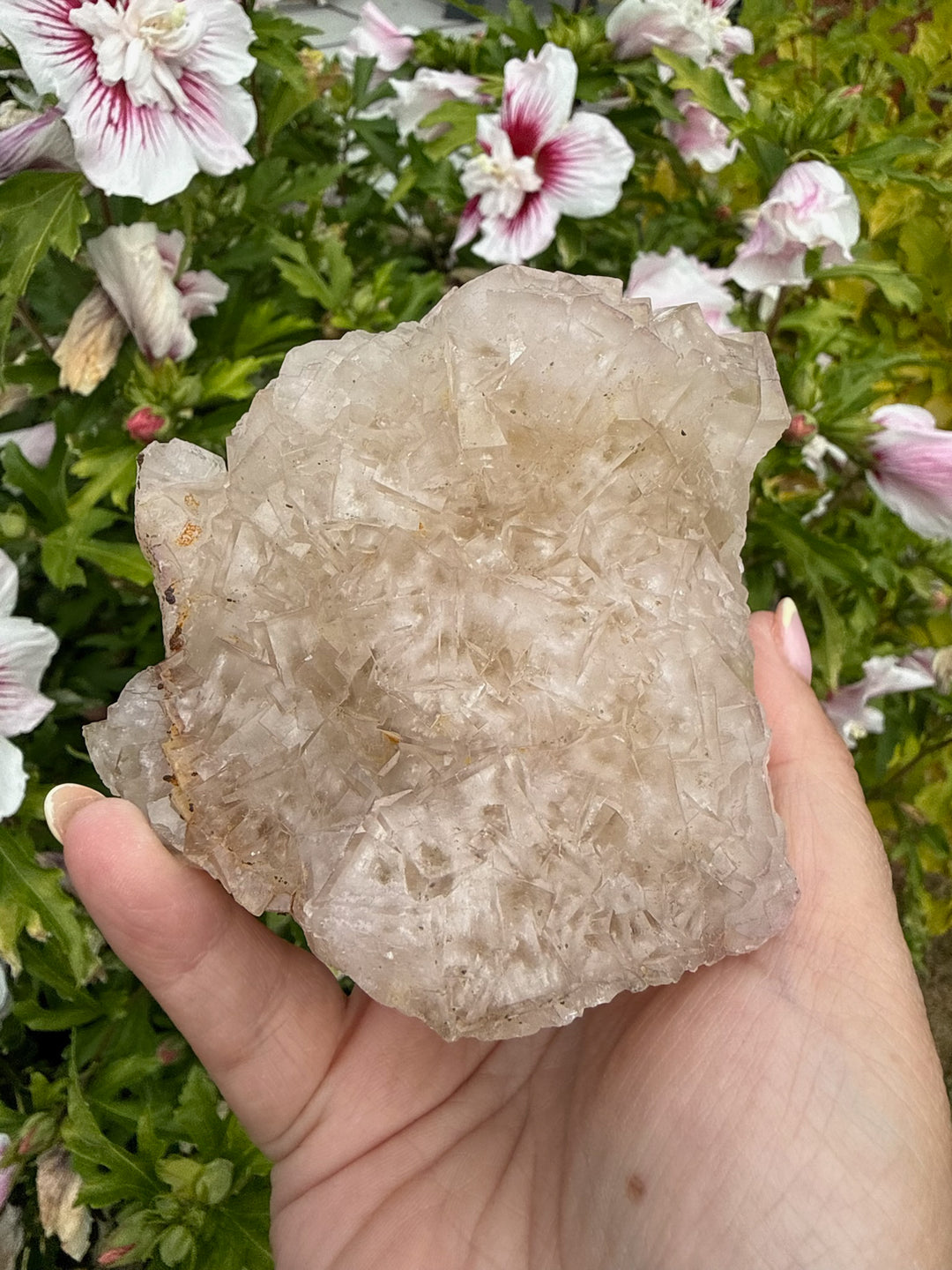 Rare Clear Fluorite from Var France