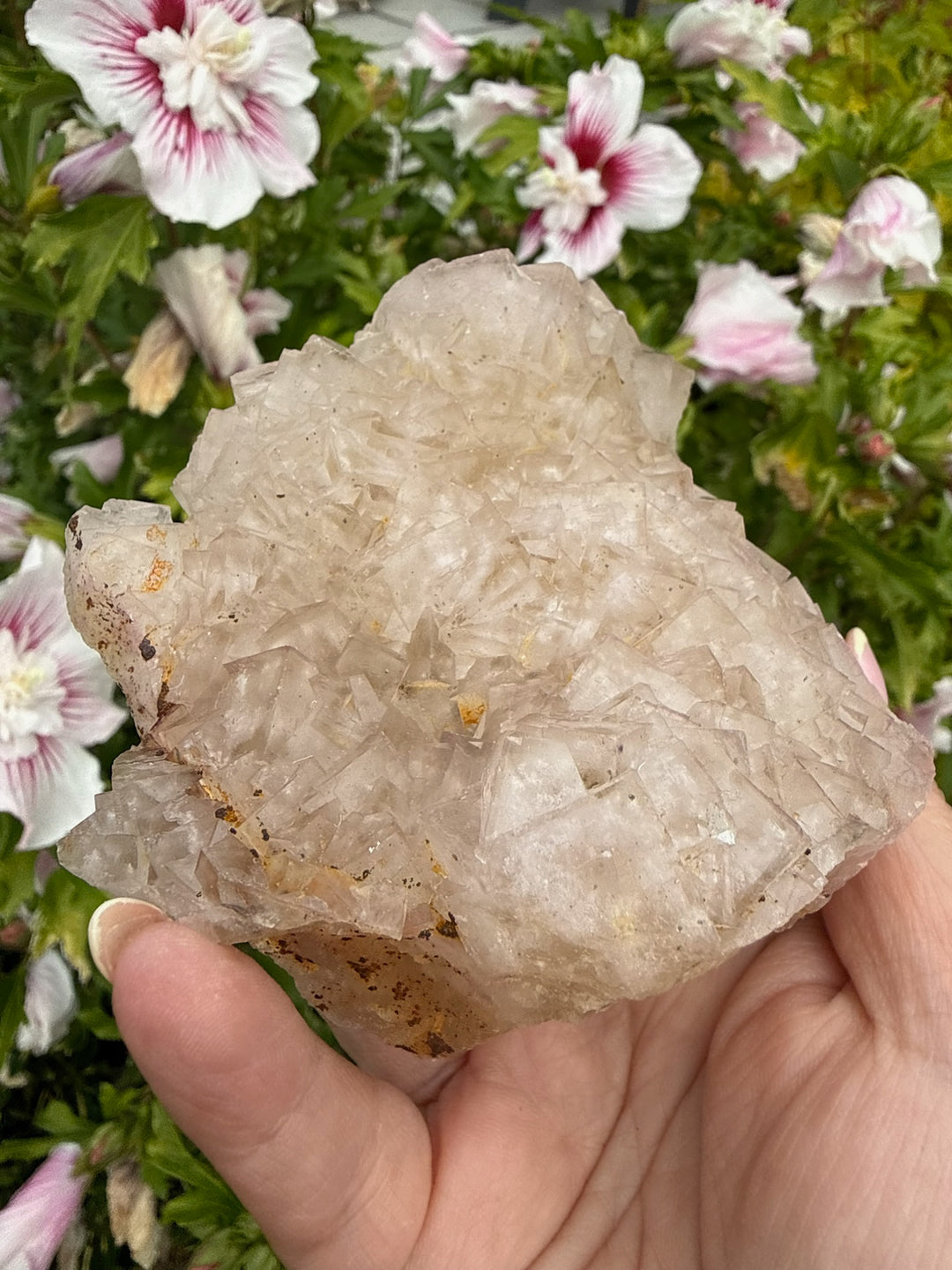 Rare Clear Fluorite from Var France