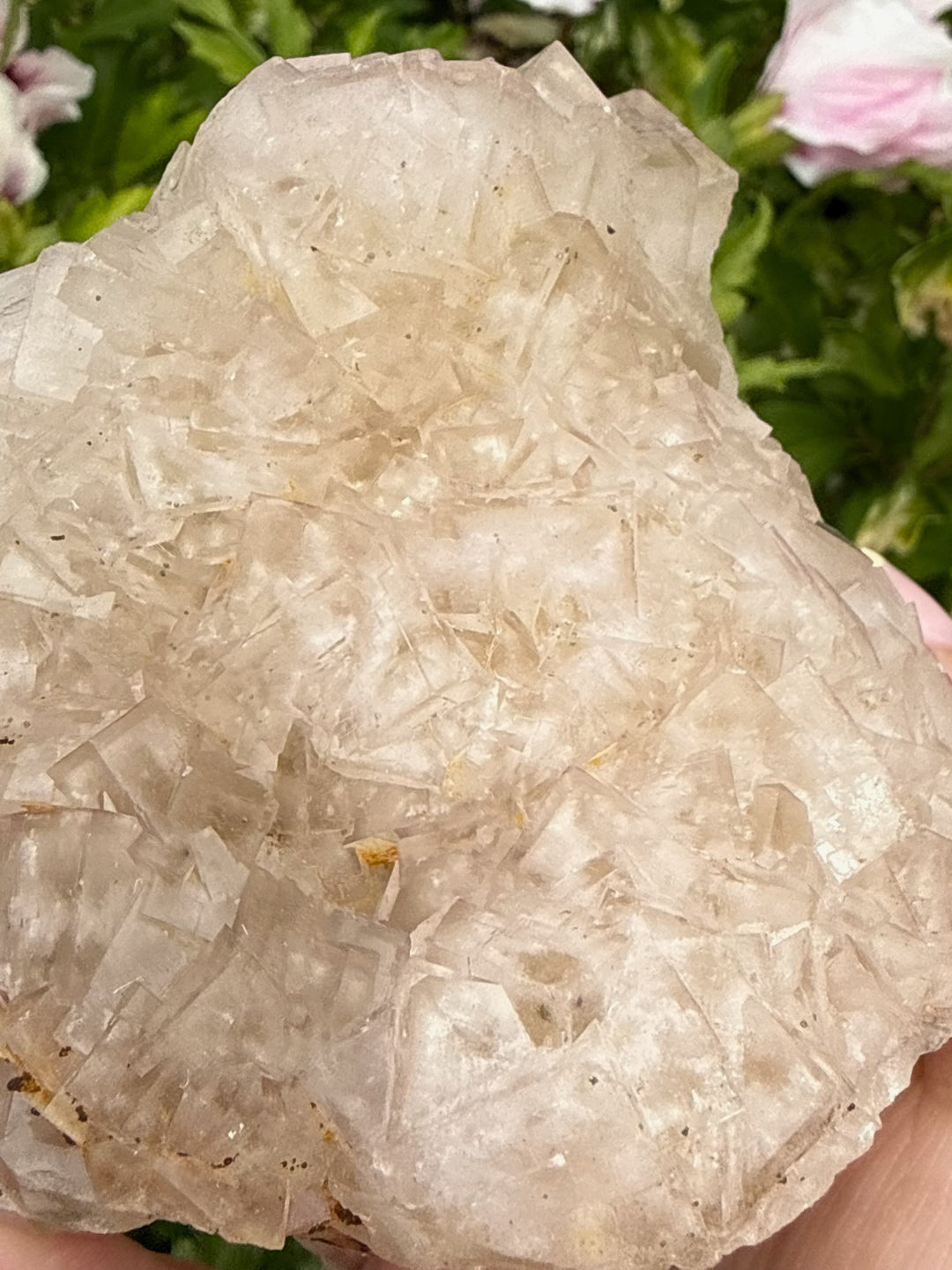 Rare Clear Fluorite from Var France