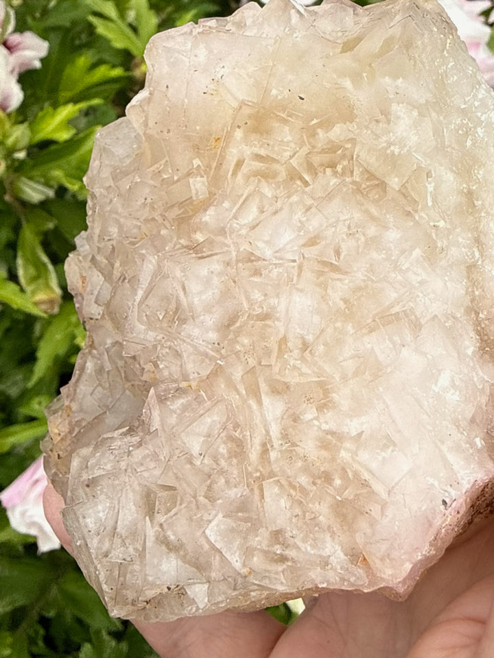 Rare Clear Fluorite from Var France