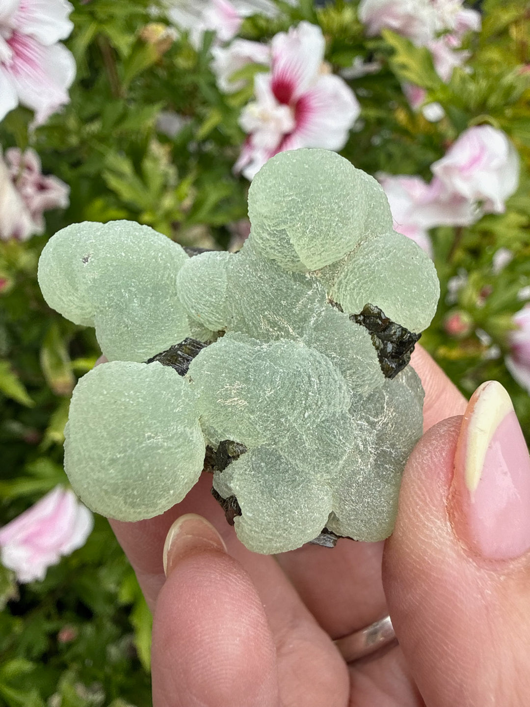 Boitroydral Prehnite and Epidote from Mali