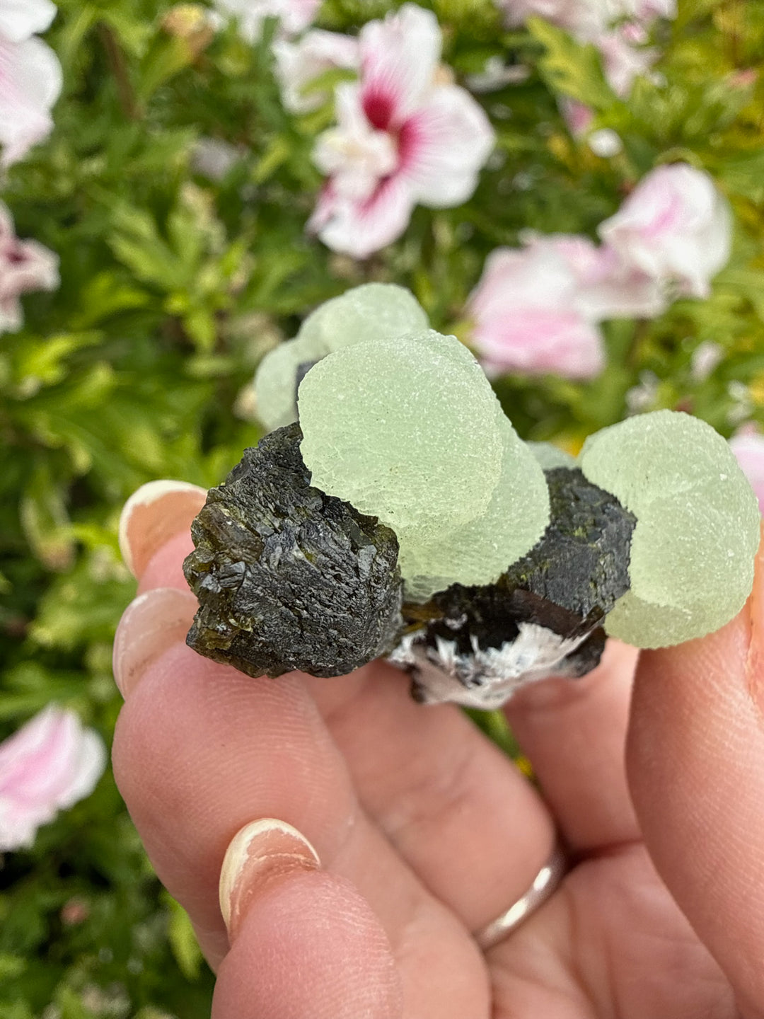 Boitroydral Prehnite and Epidote from Mali
