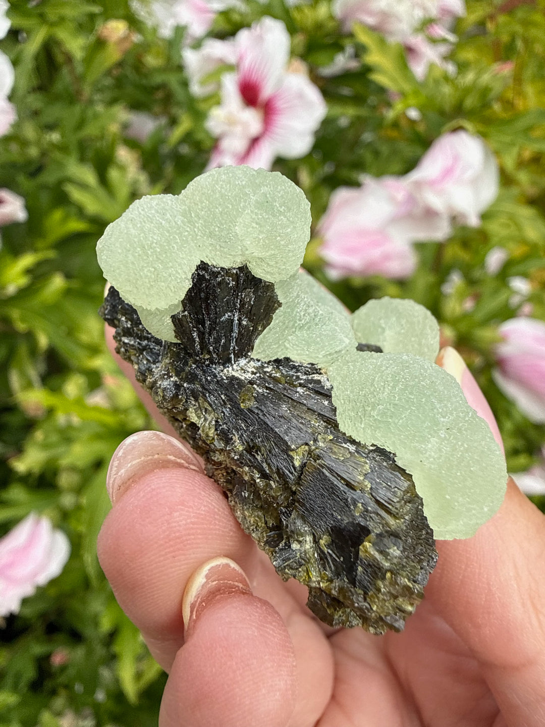 Boitroydral Prehnite and Epidote from Mali