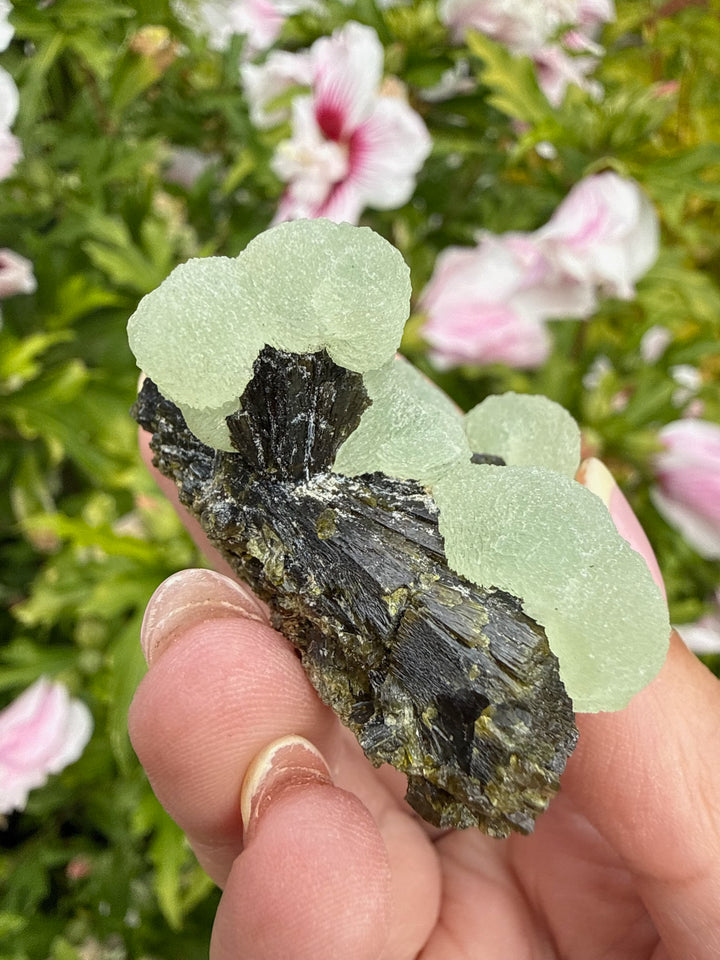 Boitroydral Prehnite and Epidote from Mali