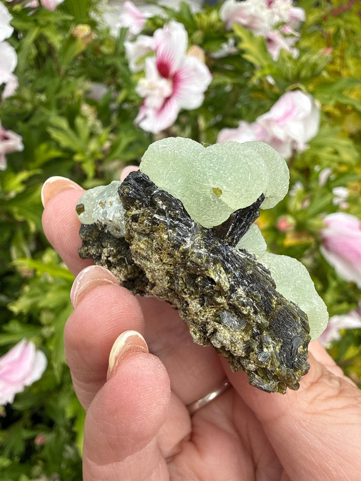 Boitroydral Prehnite and Epidote from Mali