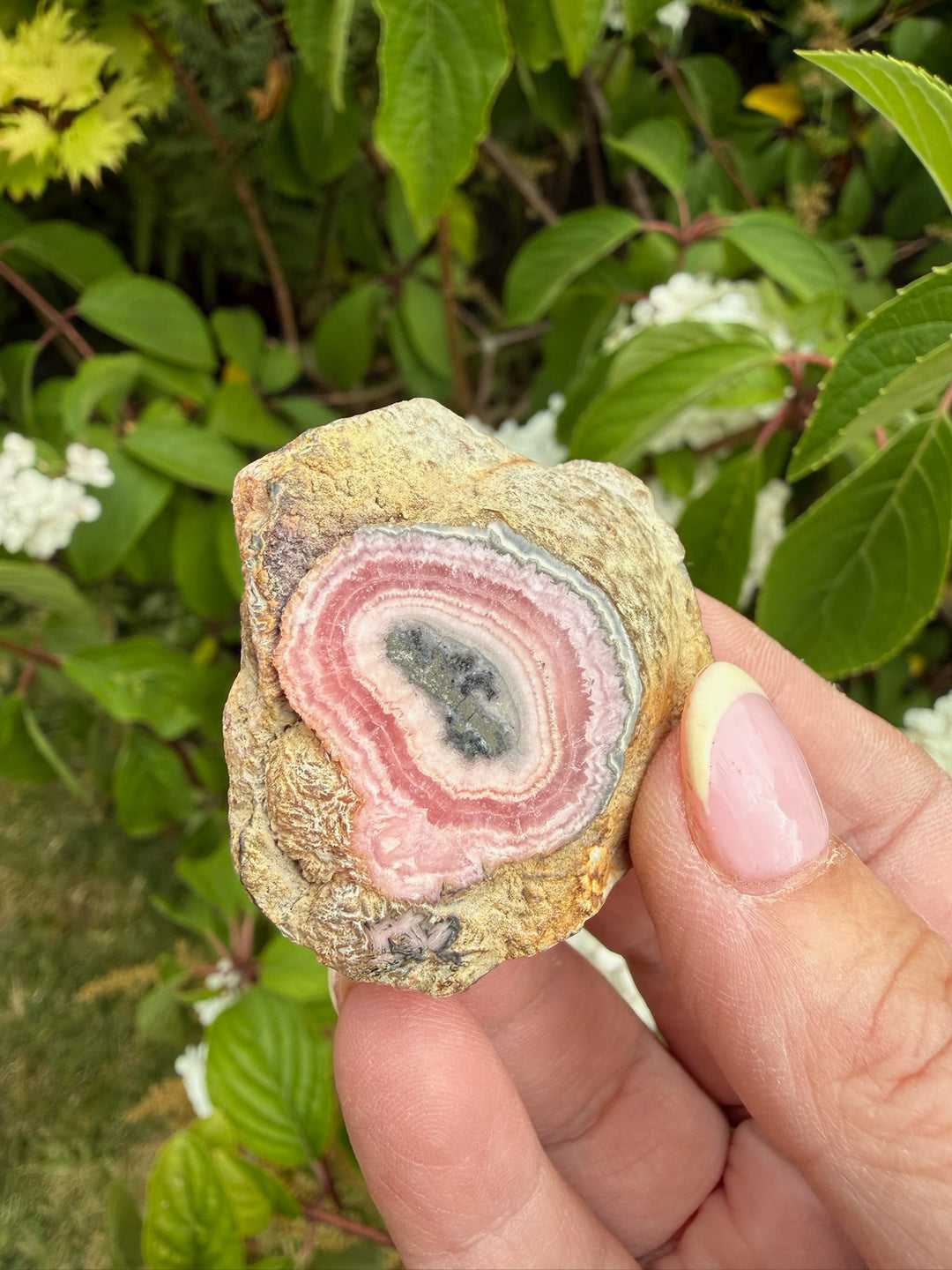 Rhodochrosite Stalactite Specimen from Argentina