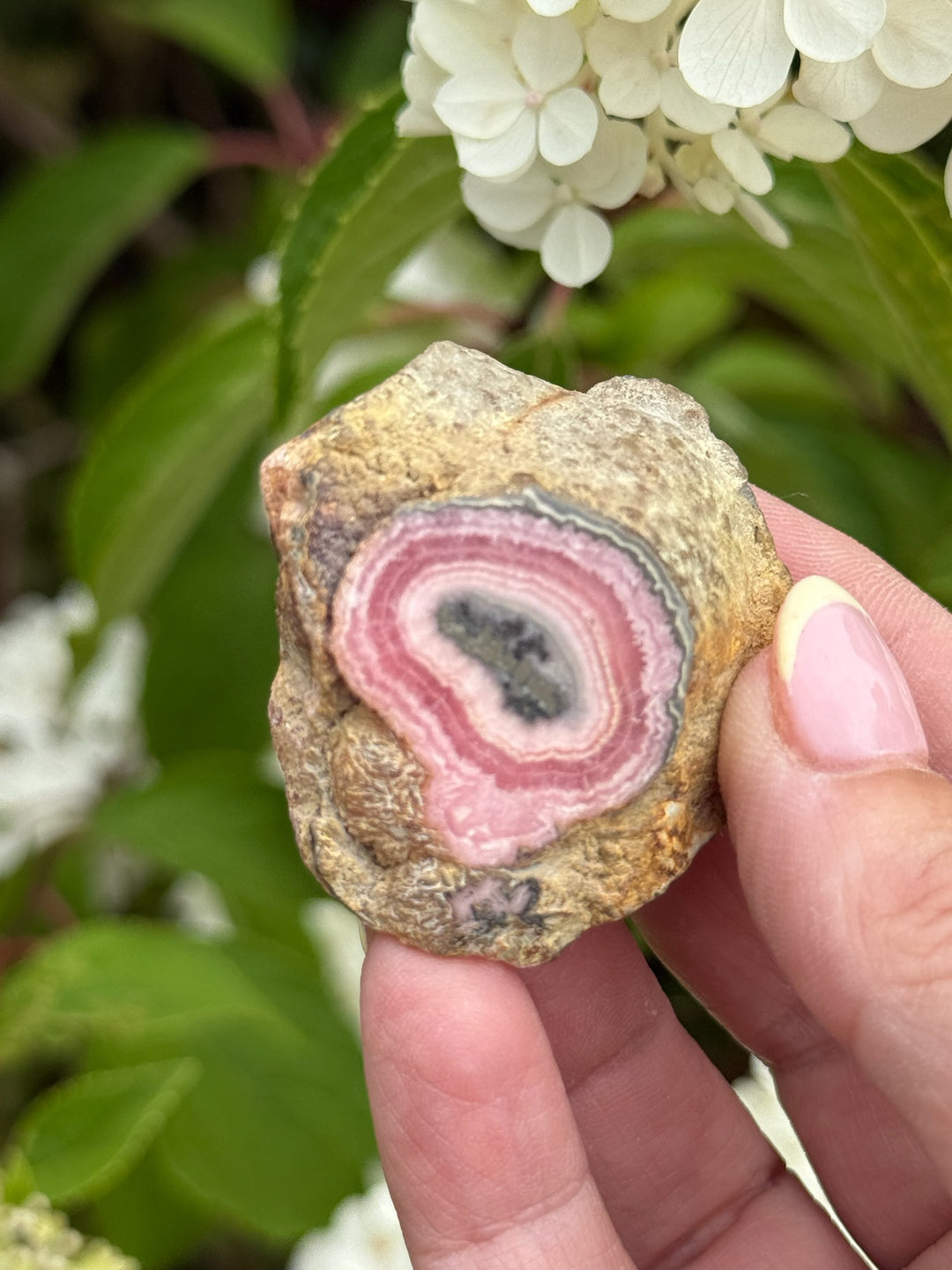 Rhodochrosite Stalactite Specimen from Argentina
