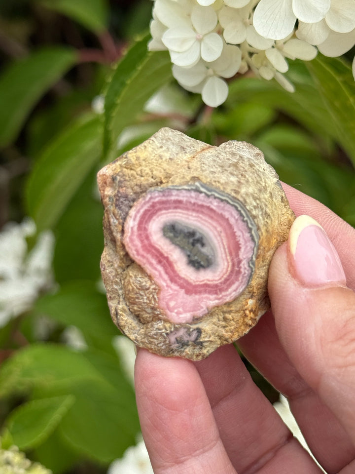 Rhodochrosite Stalactite Specimen from Argentina