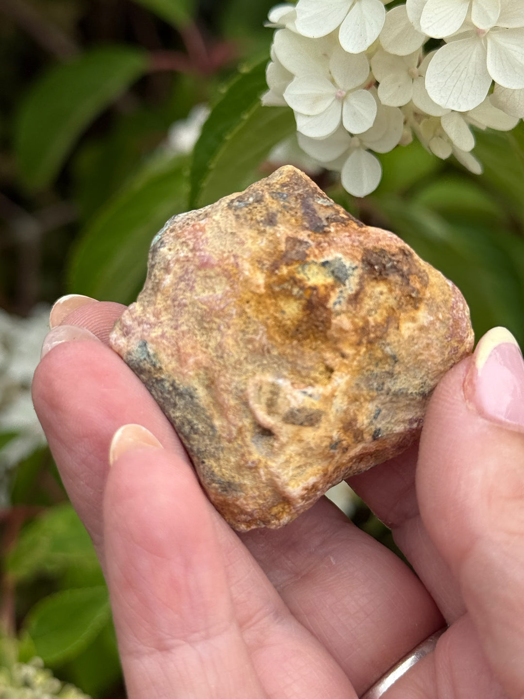 Rhodochrosite Stalactite Specimen from Argentina
