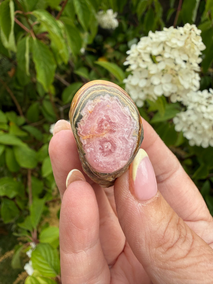 Rhodochrosite Stalactite Specimen from Argentina