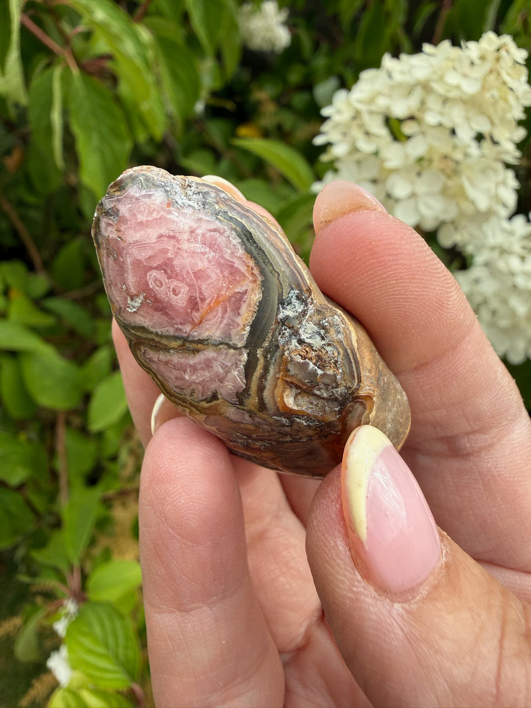 Rhodochrosite Stalactite Specimen from Argentina