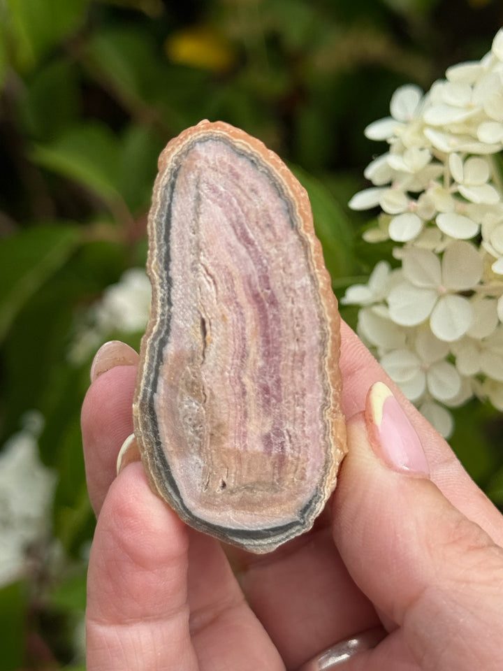 unusual Rhodochrosite Stalactite Nodule Specimen from Argentina