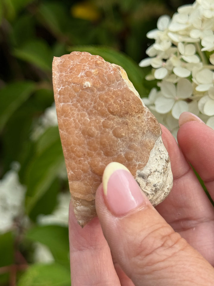 unusual Rhodochrosite Stalactite Nodule Specimen from Argentina
