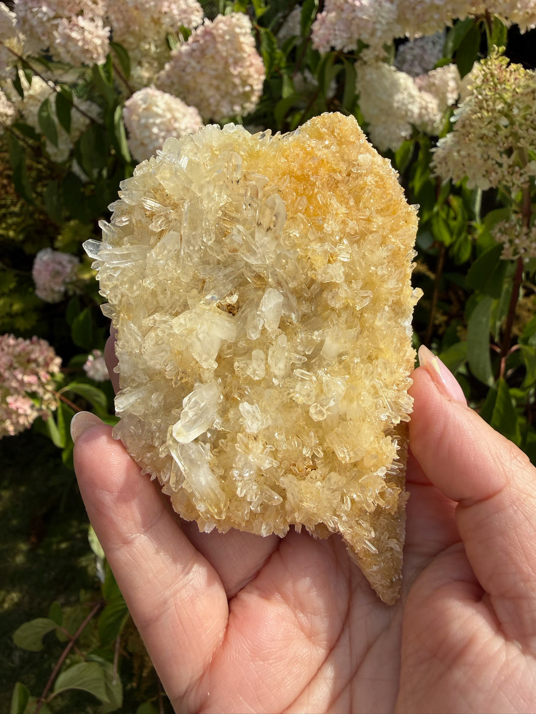Double Sided Quartz with Limonite Specimen from Brazil