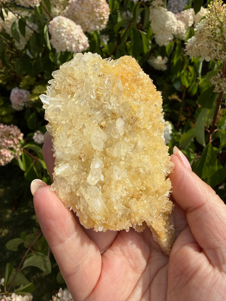 Double Sided Quartz with Limonite Specimen from Brazil