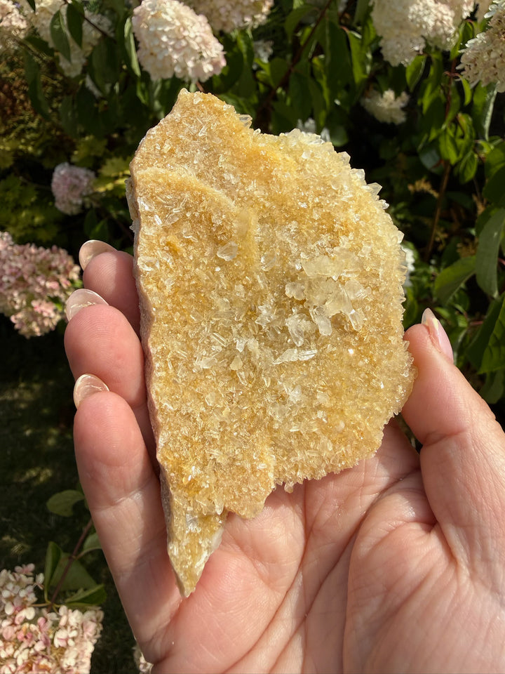 Double Sided Quartz with Limonite Specimen from Brazil