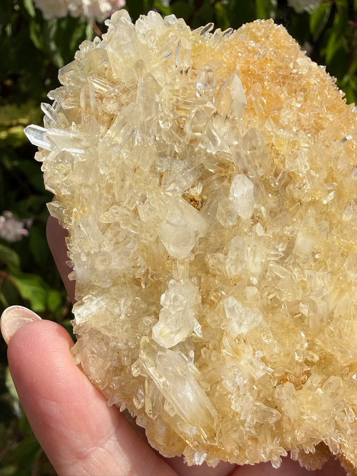 Double Sided Quartz with Limonite Specimen from Brazil