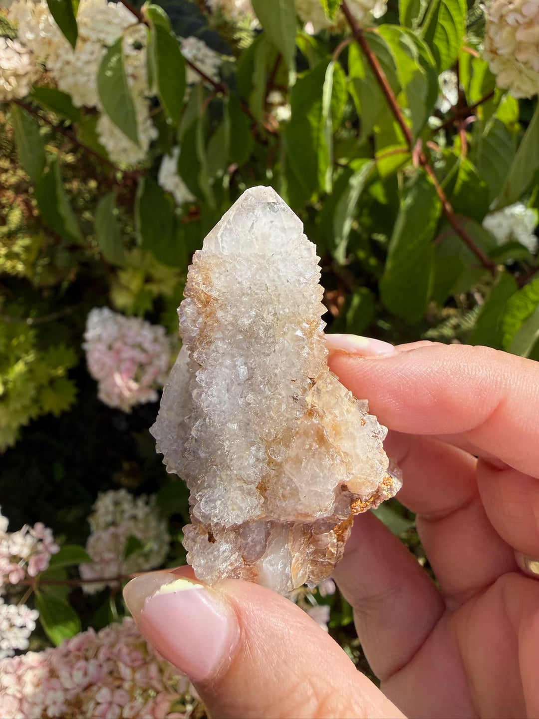 Fairy Quartz Specimen with Golden Healer from South Africa