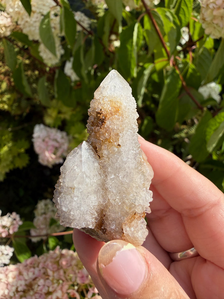 Fairy Quartz Specimen with Golden Healer from South Africa