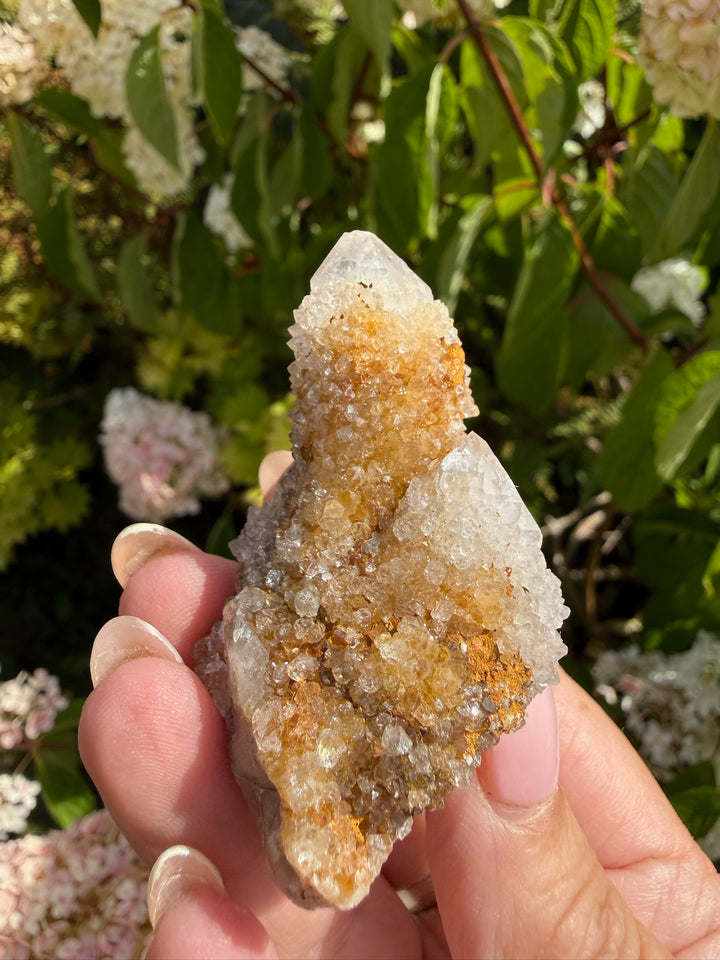 Fairy Quartz Specimen with Golden Healer from South Africa