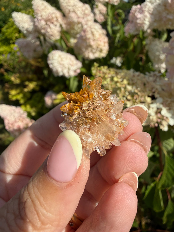 Creedite Specimen from Durango Mexico