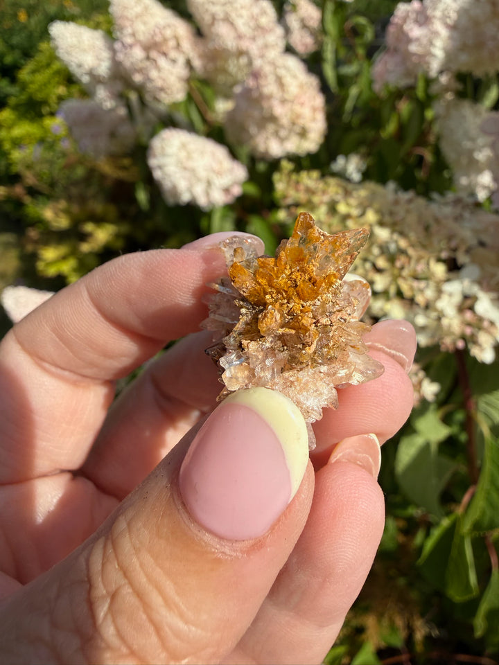 Creedite Specimen from Durango Mexico