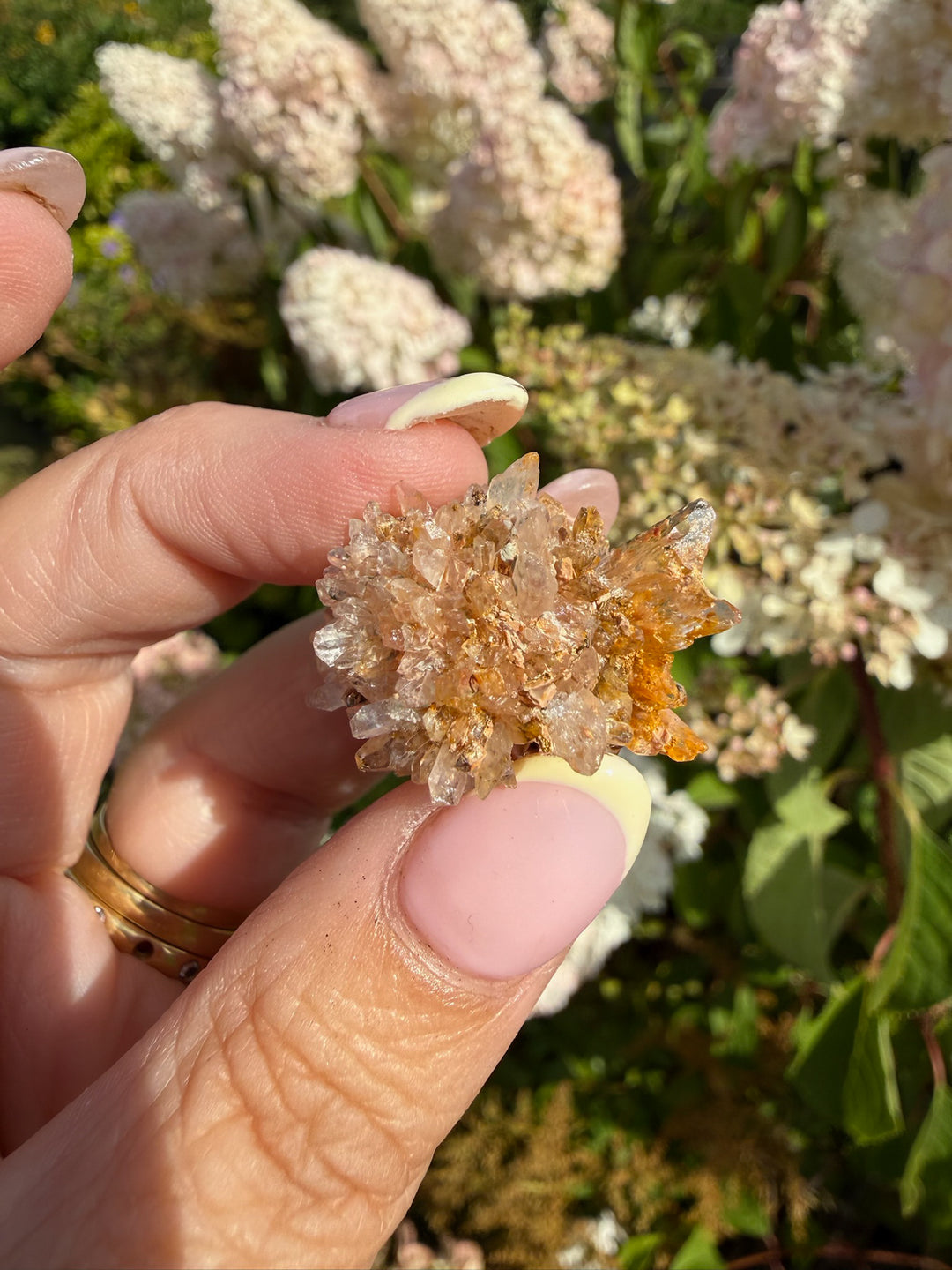 Creedite Specimen from Durango Mexico