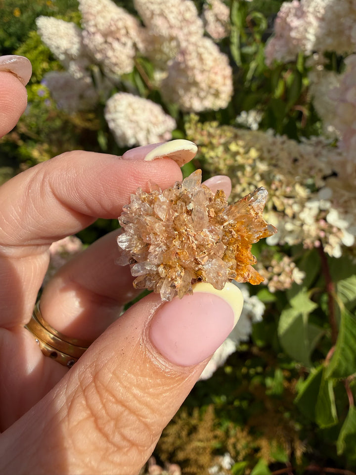 Creedite Specimen from Durango Mexico