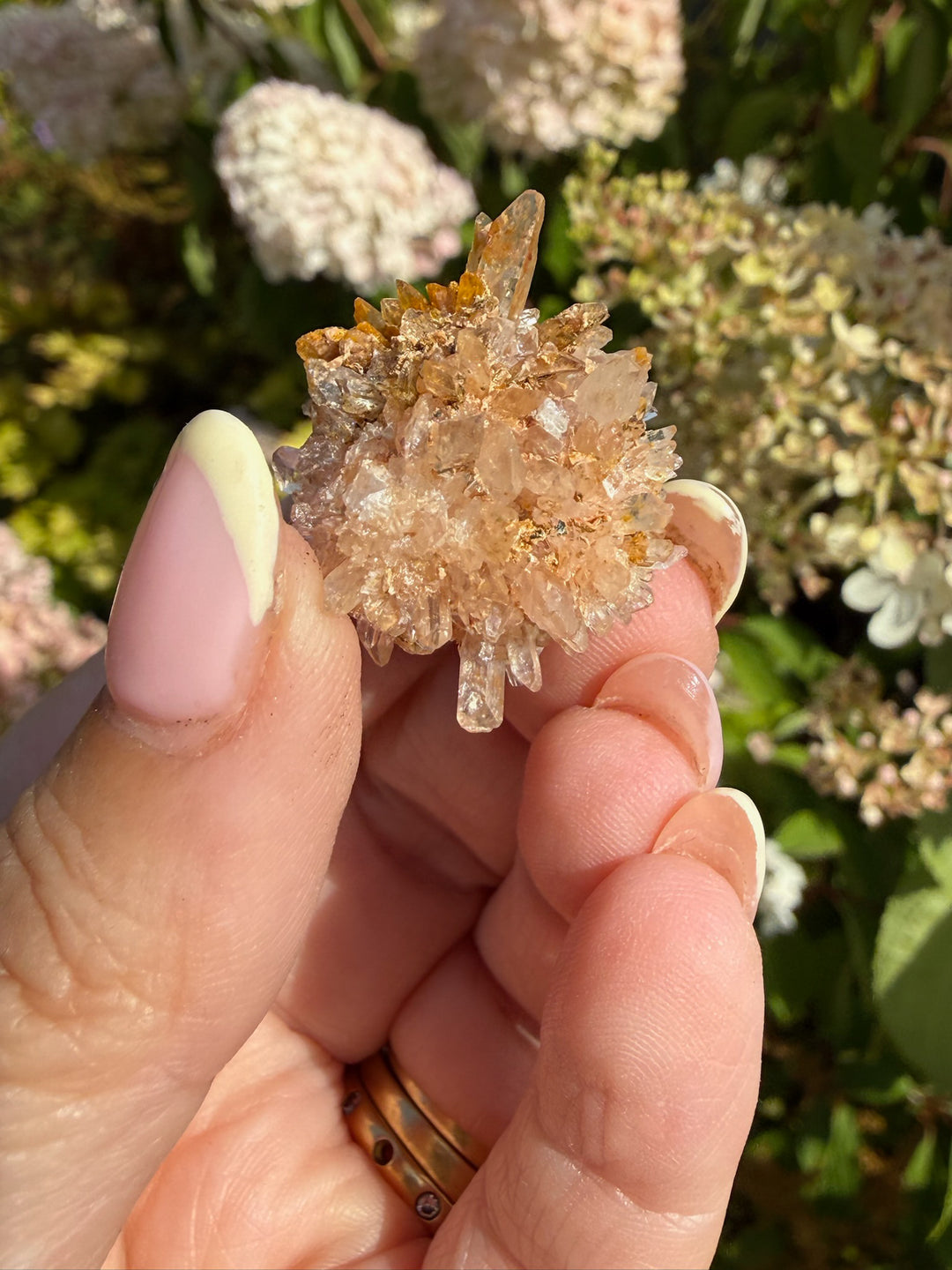 Creedite Specimen from Durango Mexico