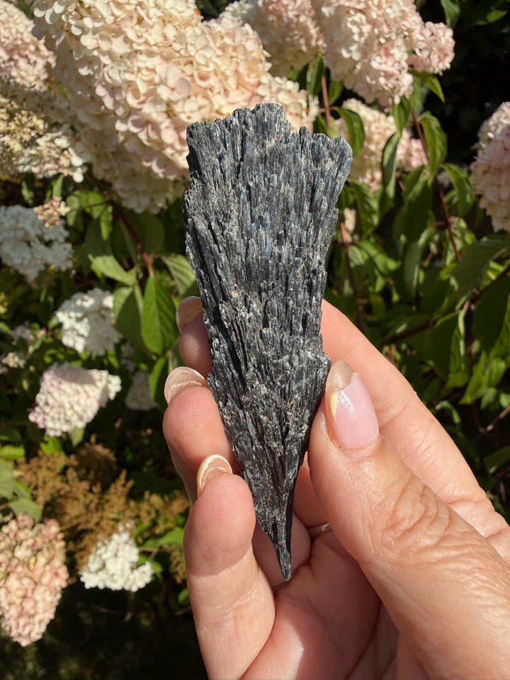 Black Kyanite Blade Specimen from Brazil