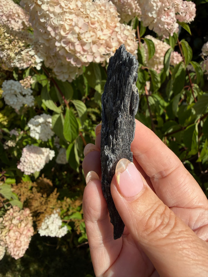 Black Kyanite Blade Specimen from Brazil